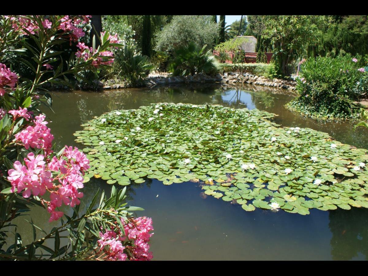 Yourhome Azalea 3 * Marbella